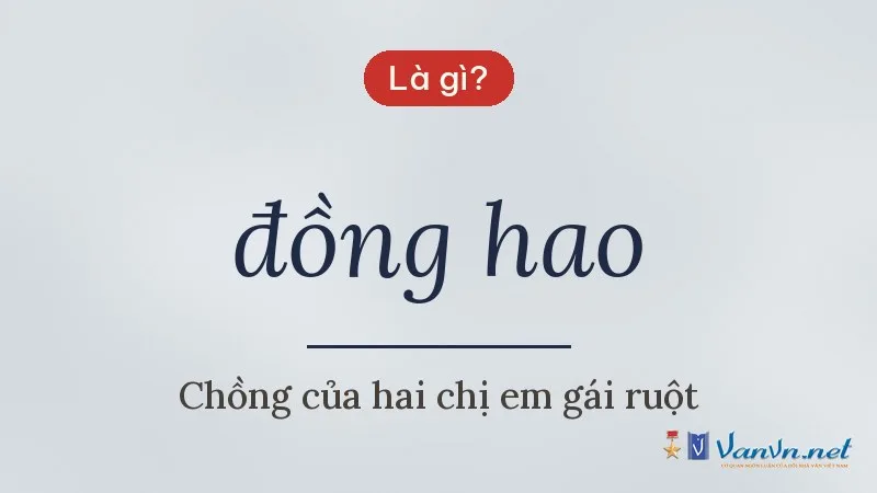 đồng hao là gì