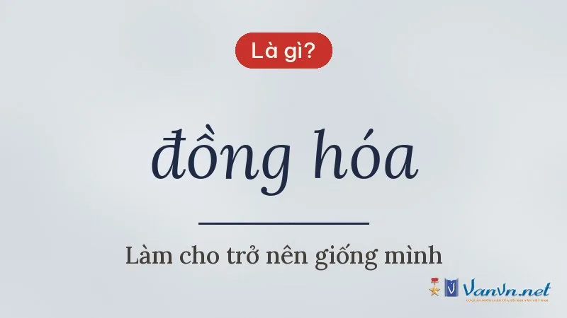 đồng hóa là gì