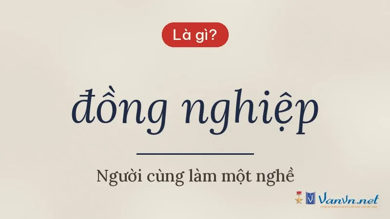 đồng nghiệp là gì