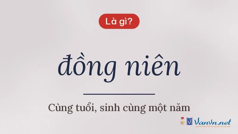 đồng niên là gì