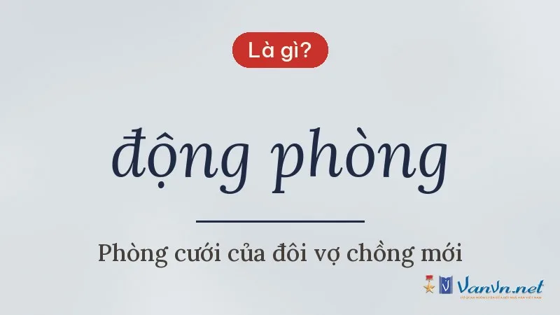 động phòng là gì