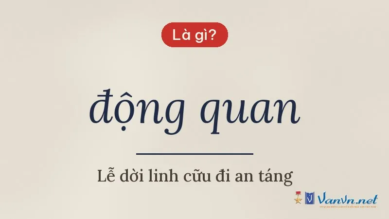 động quan là gì