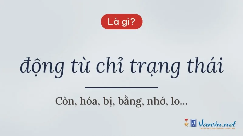 động từ chỉ trạng thái là gì