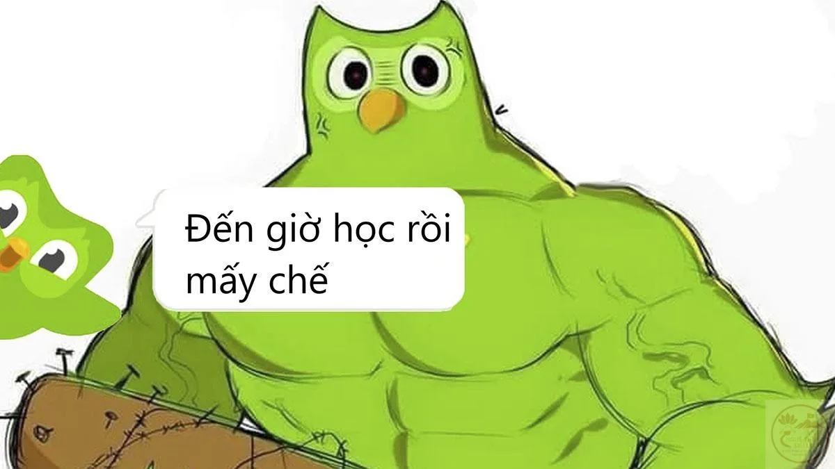 duolingo meme