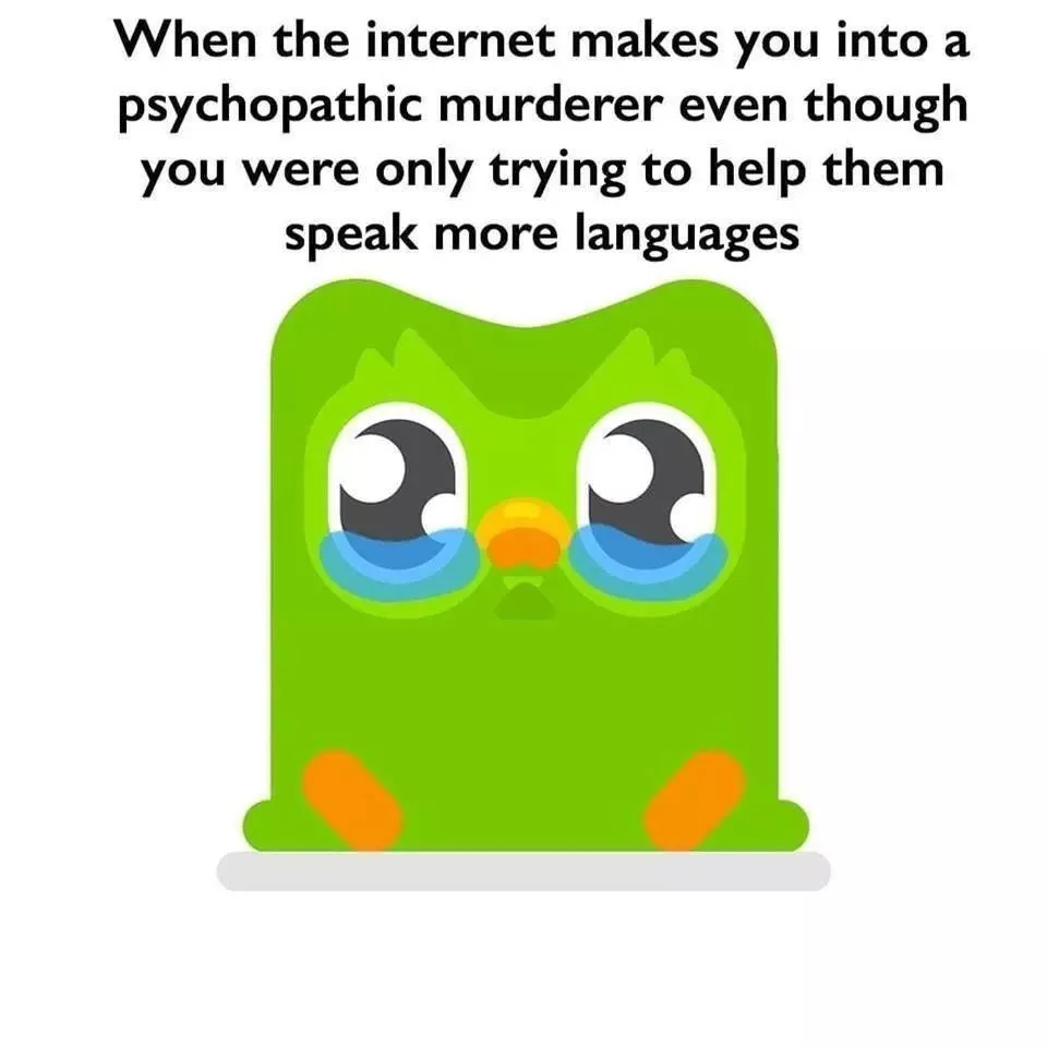 duolingo meme