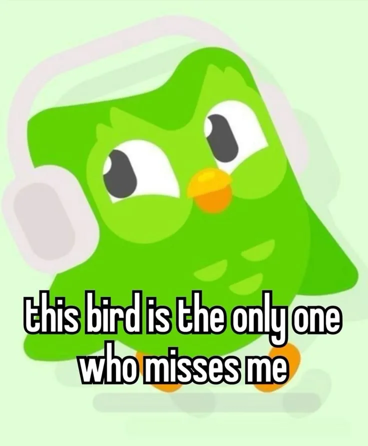 duolingo meme
