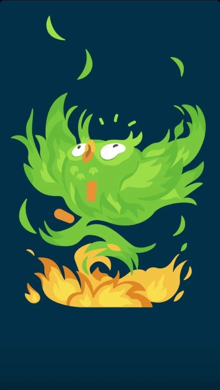 hình ảnh duolingo meme
