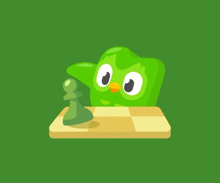 hình ảnh duolingo meme