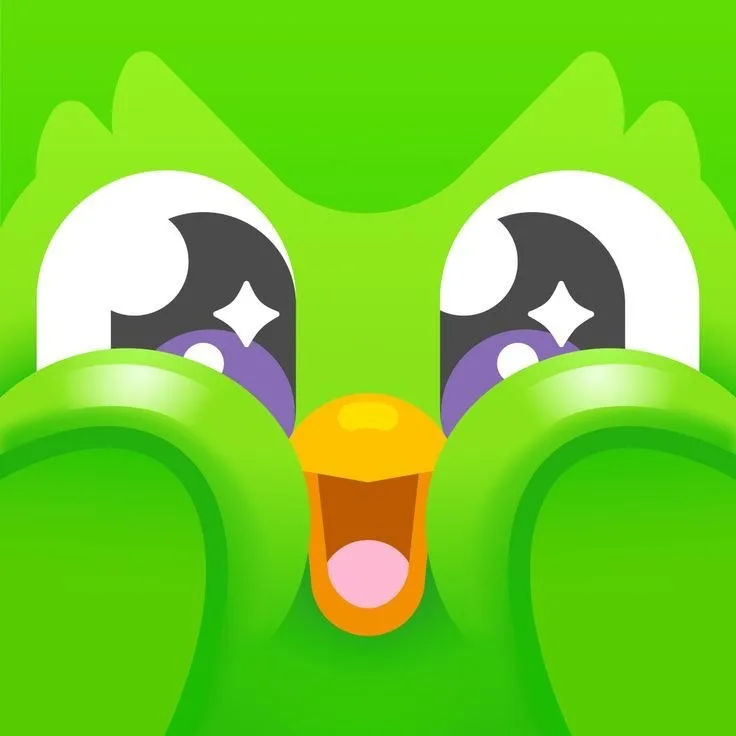 hình ảnh duolingo meme