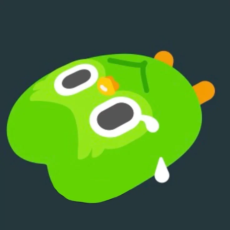 duolingo meme