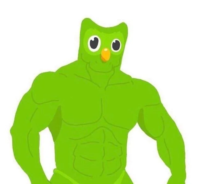 ảnh duolingo meme