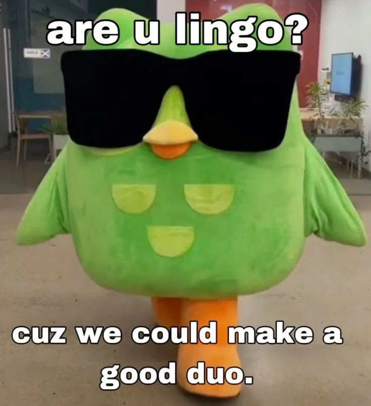 ảnh duolingo meme