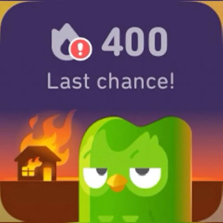 duolingo meme