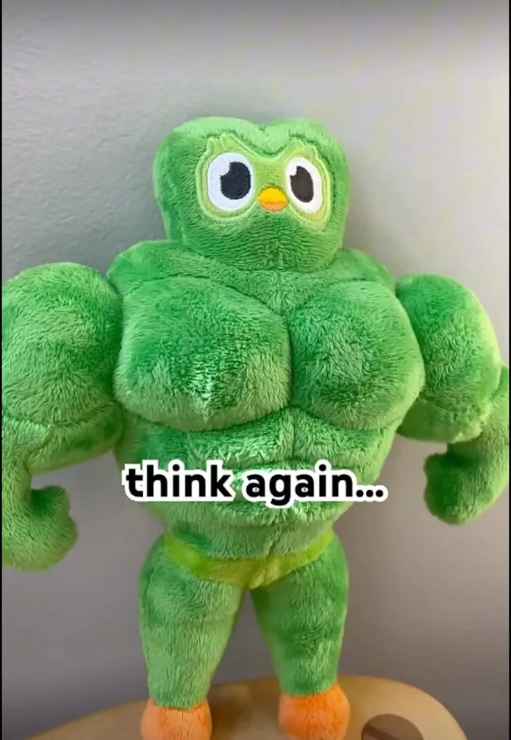 ảnh duolingo meme