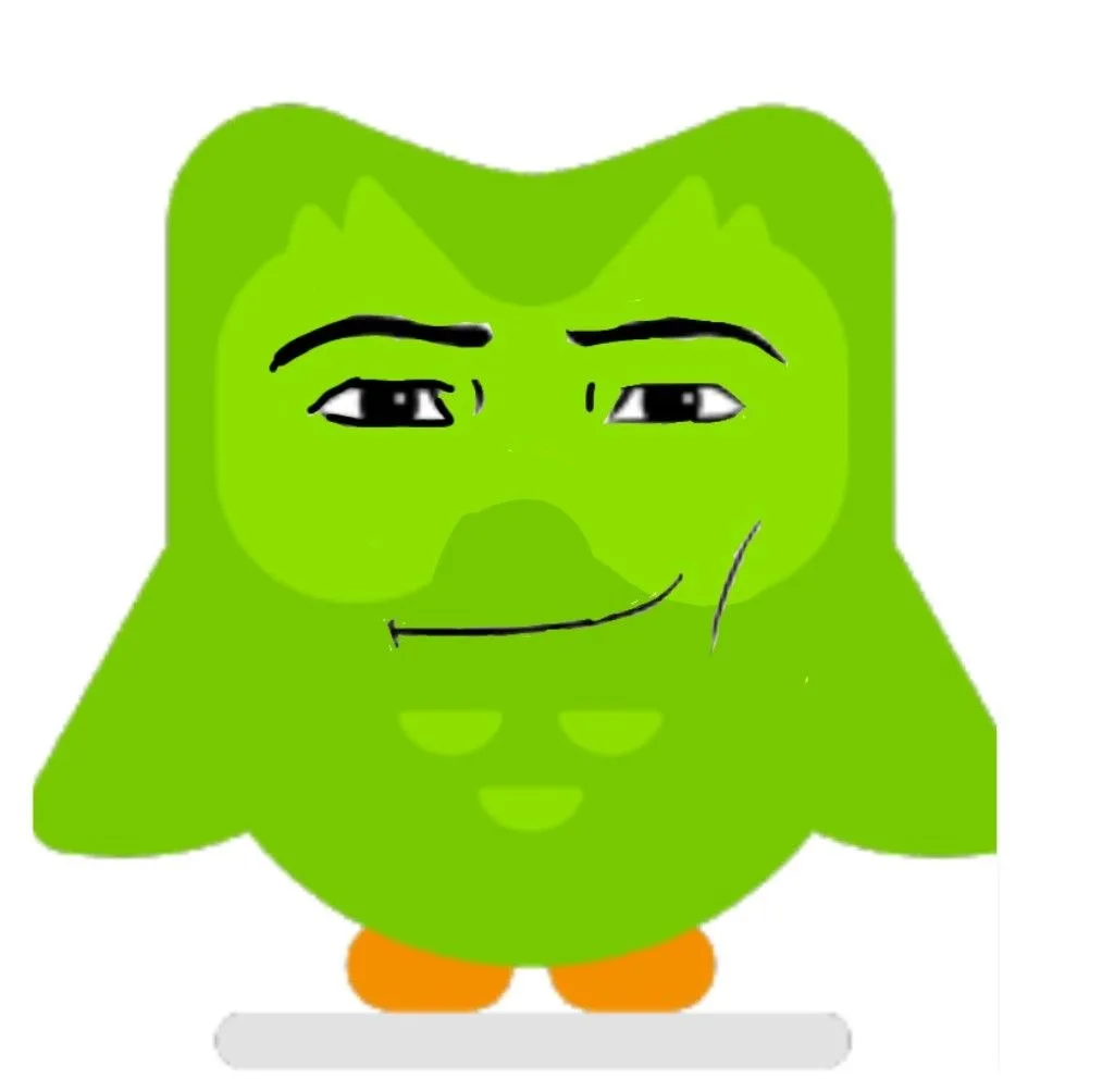 hình ảnh duolingo meme