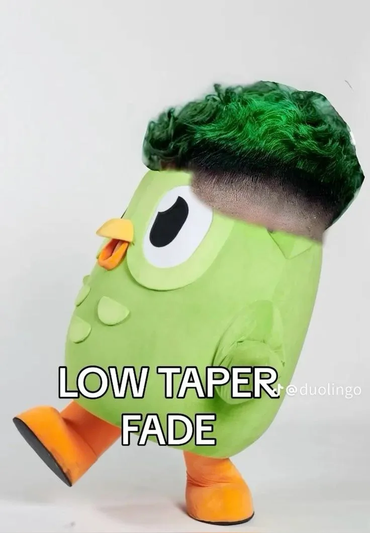 ảnh duolingo meme