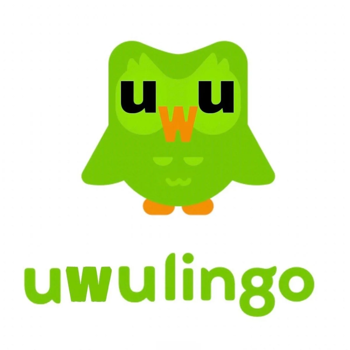 hình ảnh duolingo meme