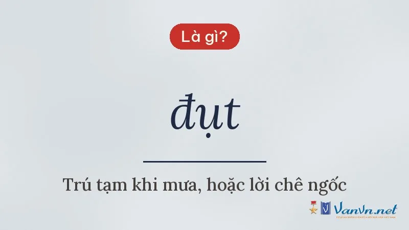 đụt là gì
