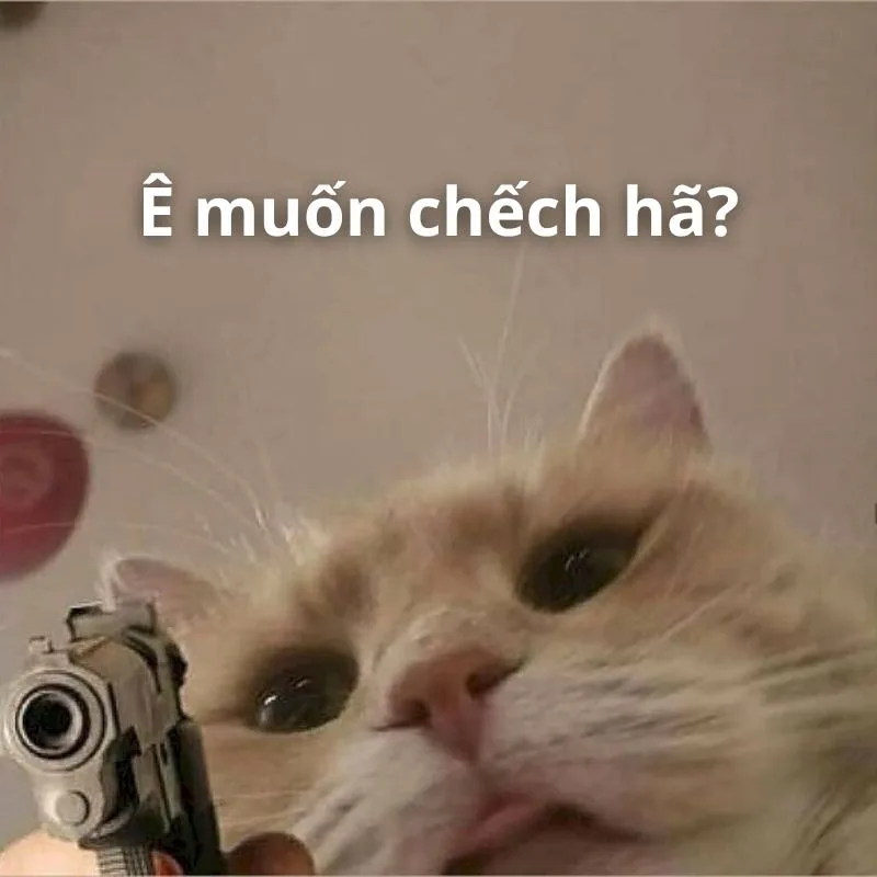 ê meme