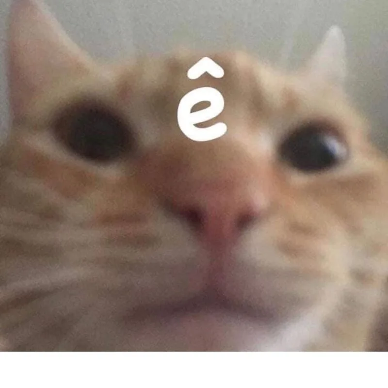 meme chữ ê