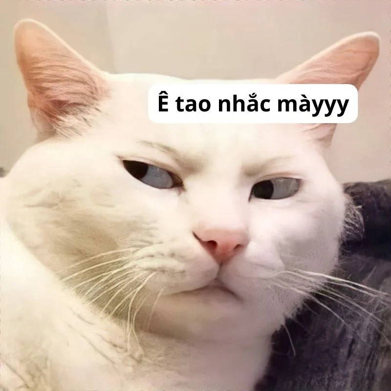 meme ê nha