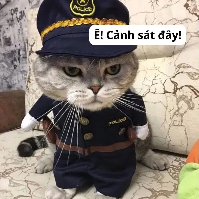 ê meme