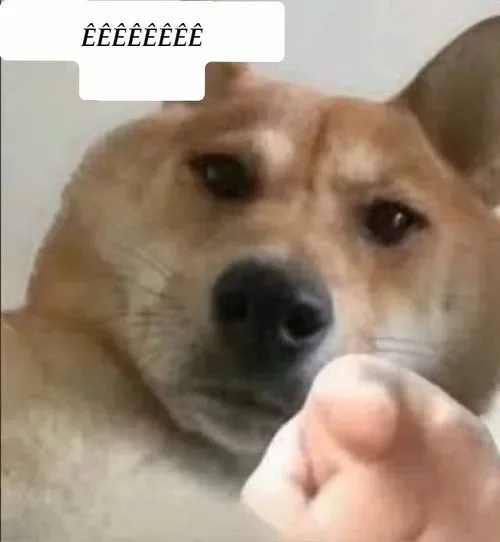 ê meme