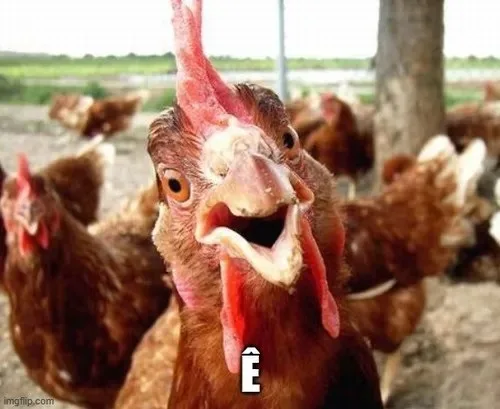 ê meme