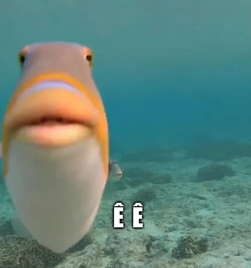ê meme