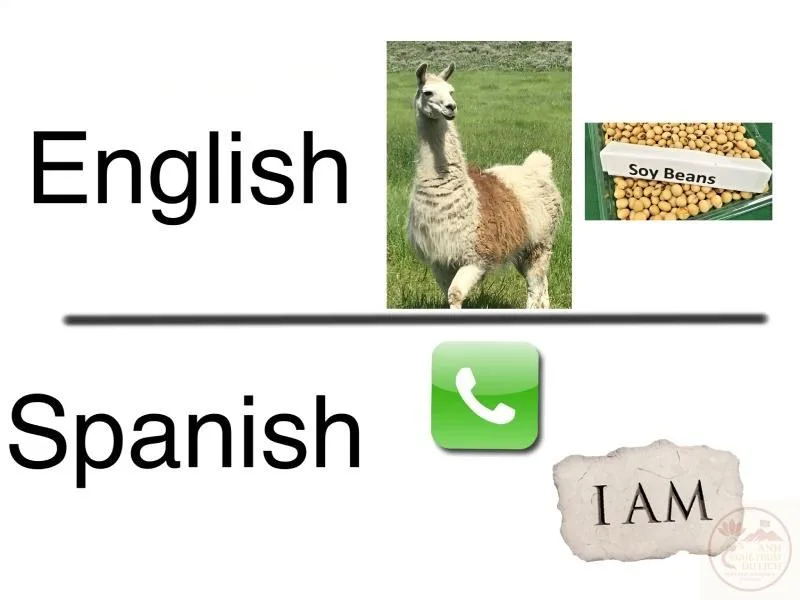 english or spanish meme