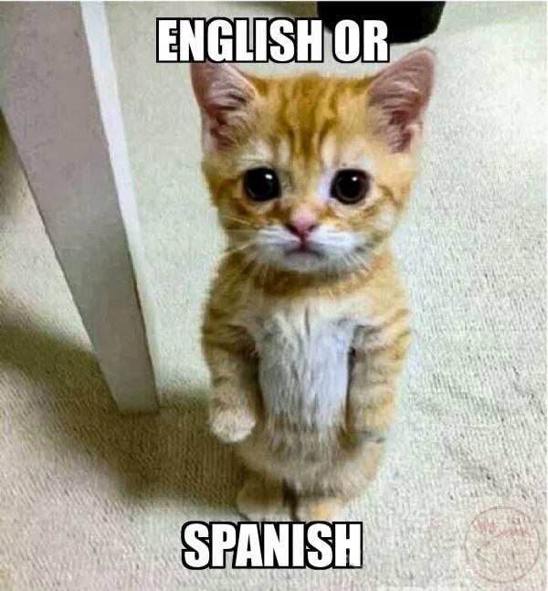 english or spanish meme