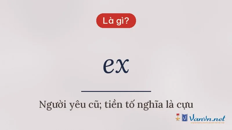 ex là gì
