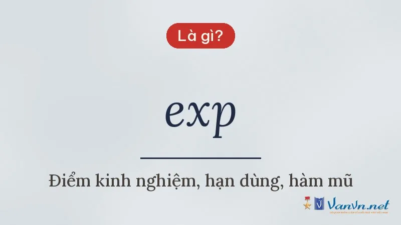 exp là gì