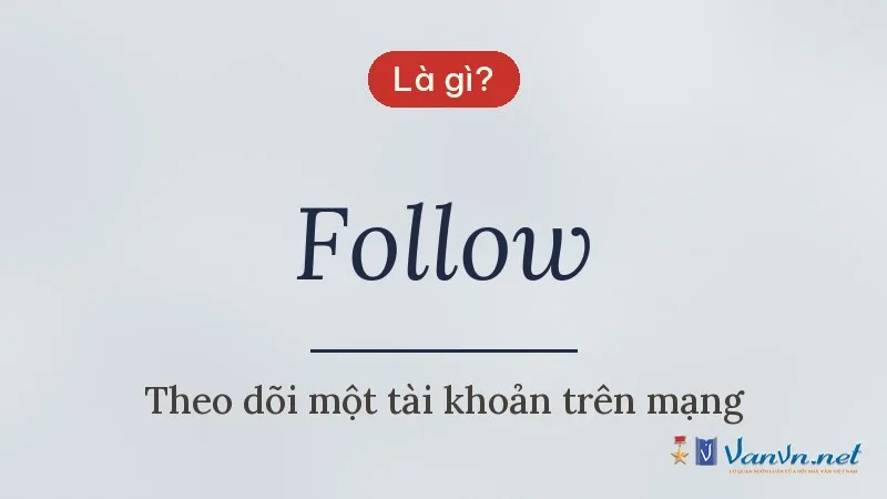 Follow là gì