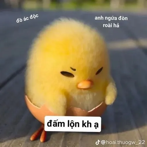 gà meme biểu cảm