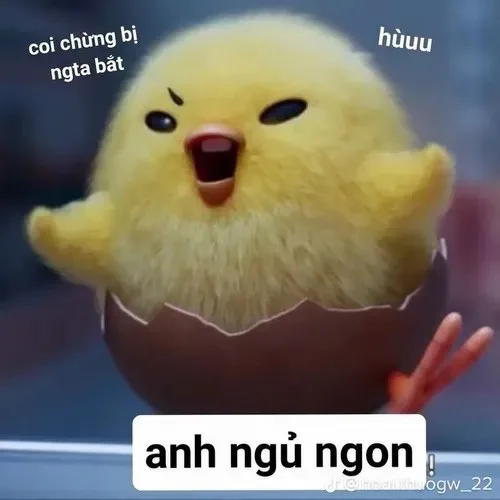 gà meme biểu cảm