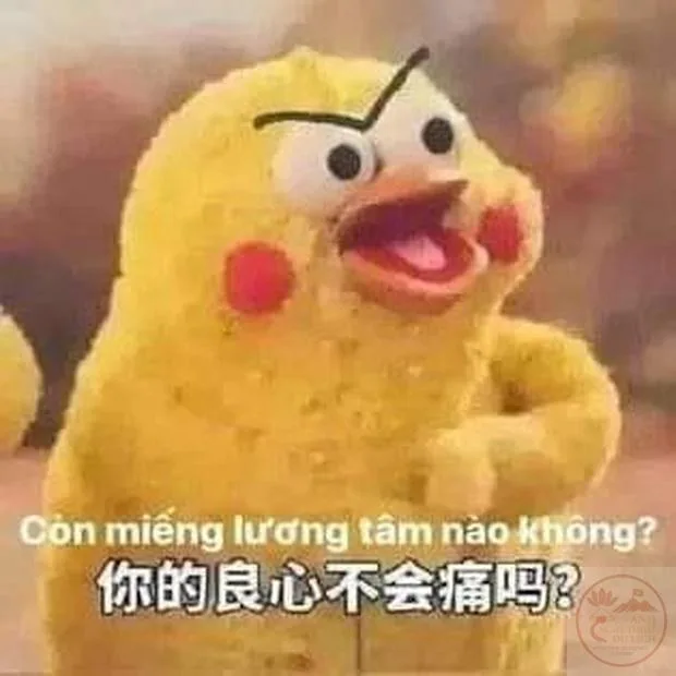 gà meme biểu cảm
