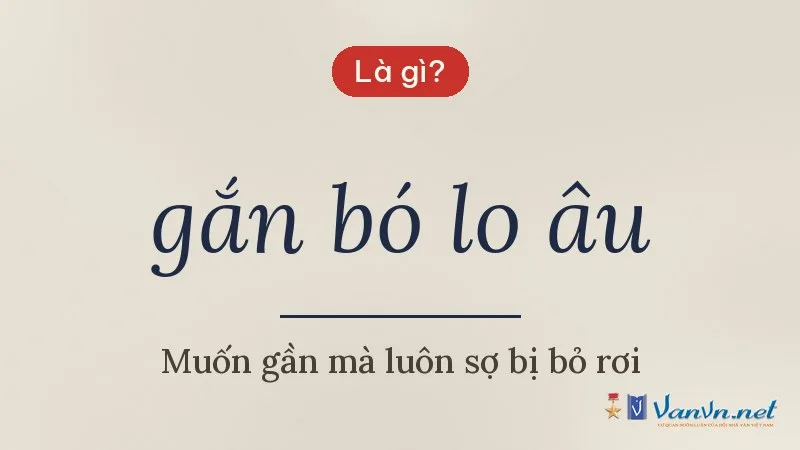 gắn bó lo âu là gì