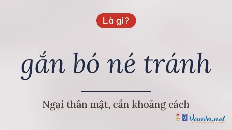 gắn bó né tránh là gì