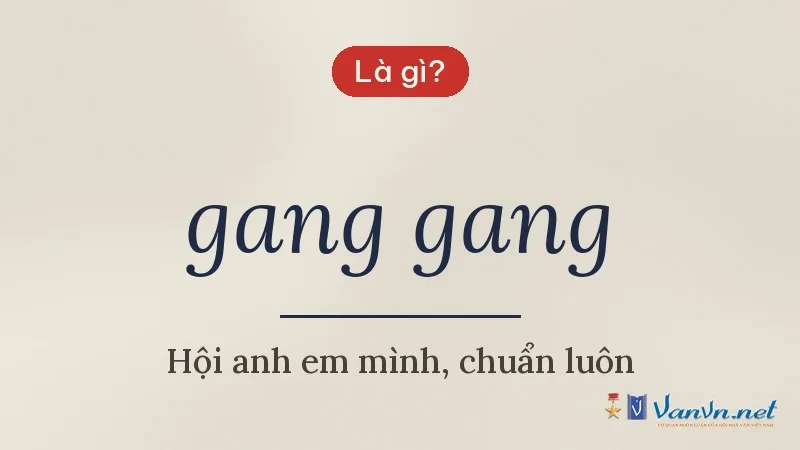 gang gang là gì