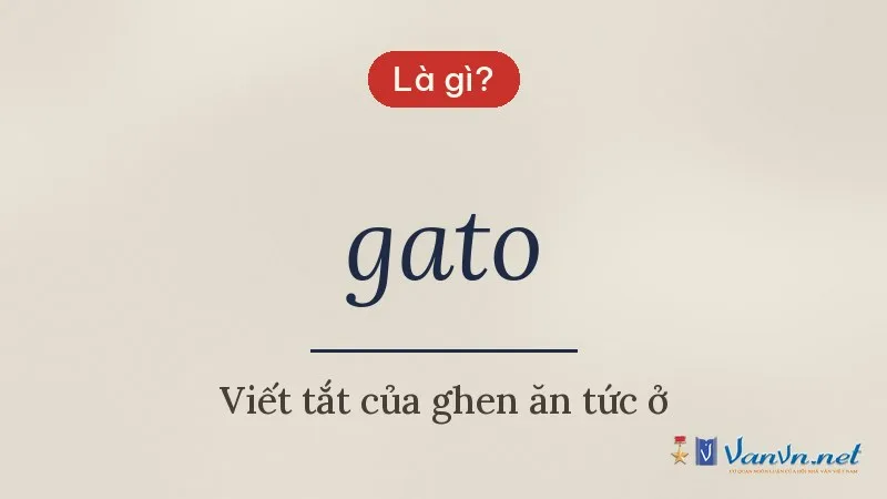 gato là gì