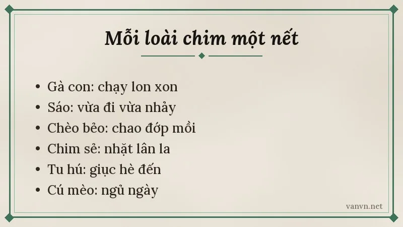 giải nghĩa các loài chim trong bài vè chim