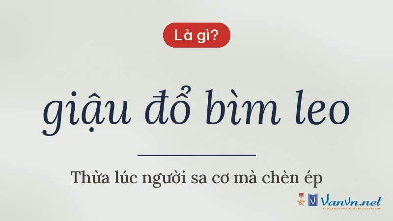 giậu đổ bìm leo là gì
