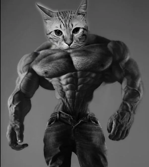 chad meme
