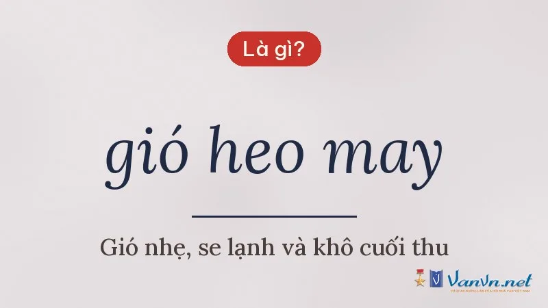 gió heo may là gì
