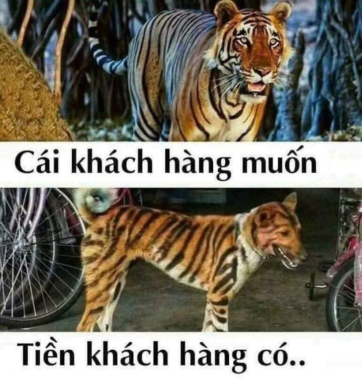 giữ chân khách hàng meme
