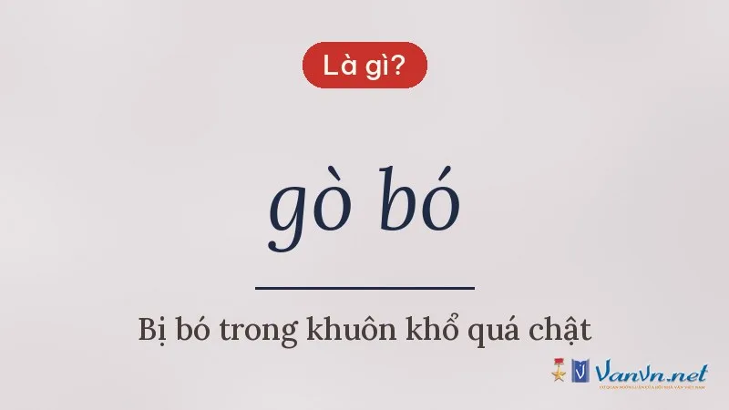 gò bó là gì