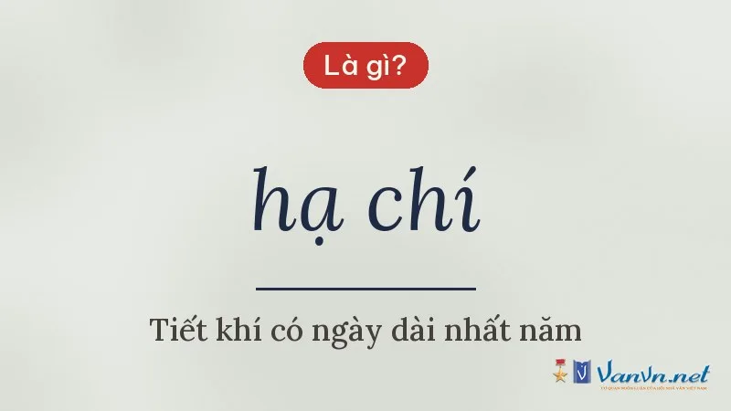 hạ chí là gì