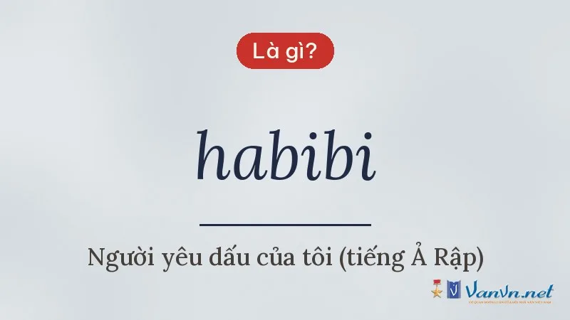 habibi là gì