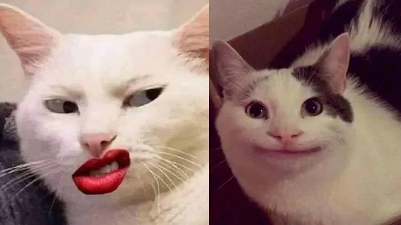 meme hihi